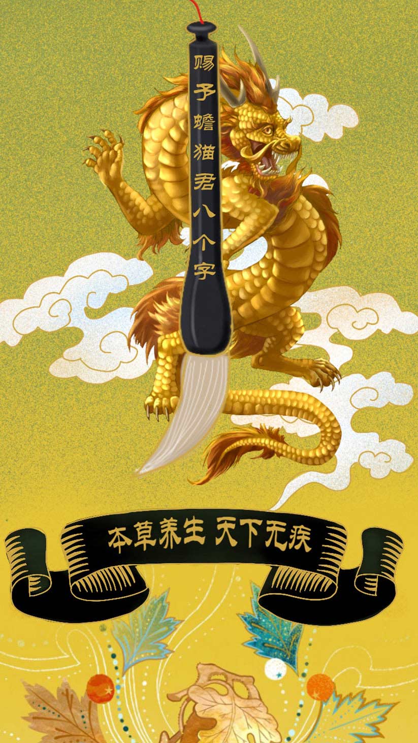 1601430828133677.jpg 何为乙本乙草长图_12.jpg